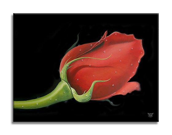 Red Rose