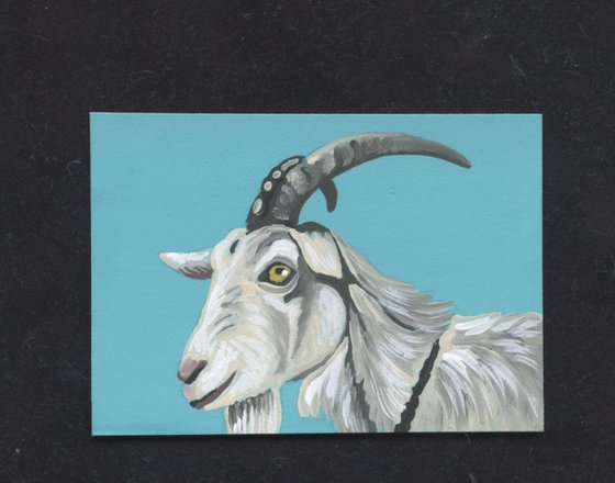 ACEO ATC Original Miniature Painting White Goat Farmyard Art-Carla Smale