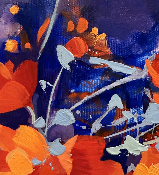 Splashes of Summer Sun