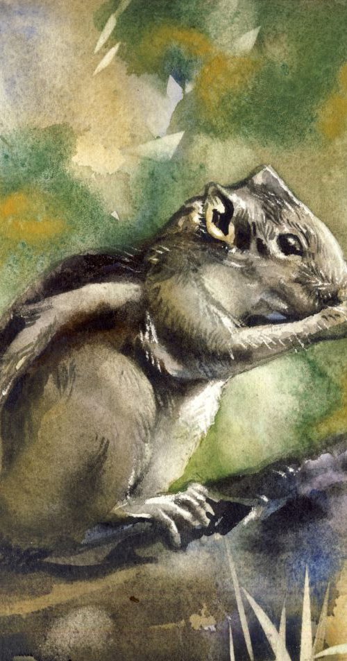 Little chipmunk watercolor by Alfred Ng