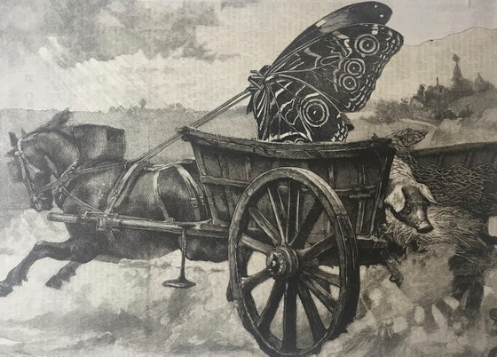 Butterfly Cart