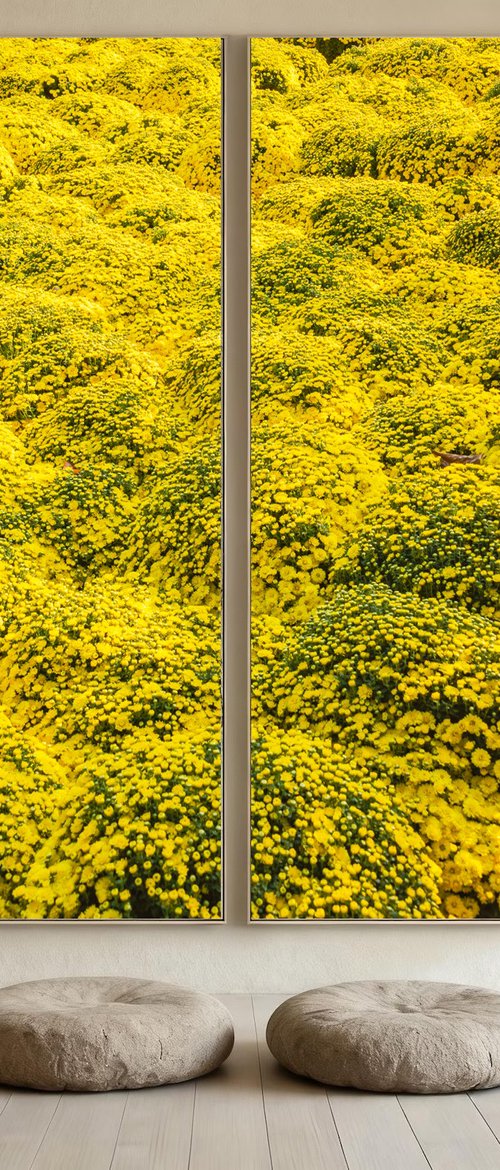 February Meadow Diptych by Serge Horta