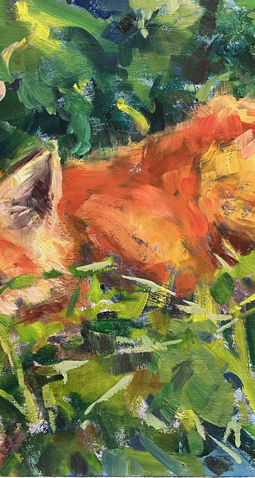 Fox by Olga Bolgar