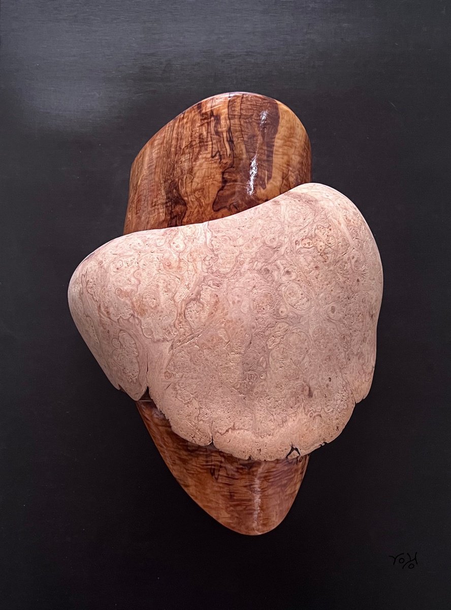 Organic Abstract Wood Sculpture By Roland Kopfer, 7 X 9", Wall Sculpture Tree Pearl 1077, Original Artwork