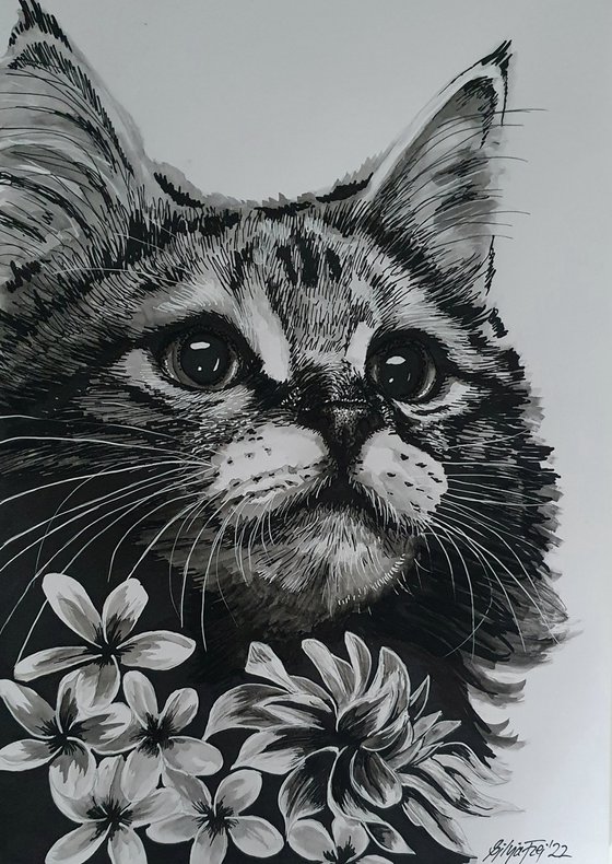 'BOUQUET' a Maine Coon ink portrait