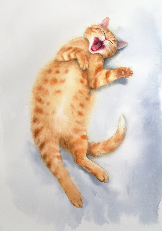 Yawning Ginger Cat