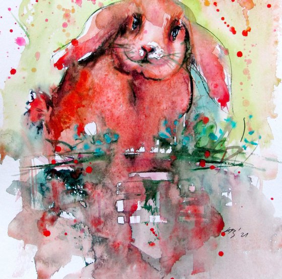 Cute rabbit