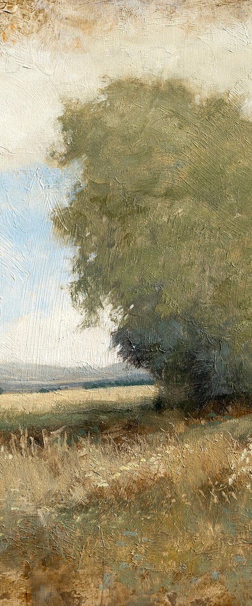 Summer Trees 260902 by Don Bishop