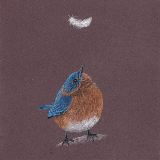 Original pastel drawing bird "Eastern bluebird"