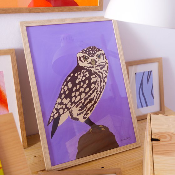 Owl