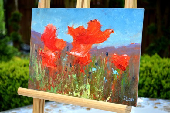 Coral Poppies 21X30