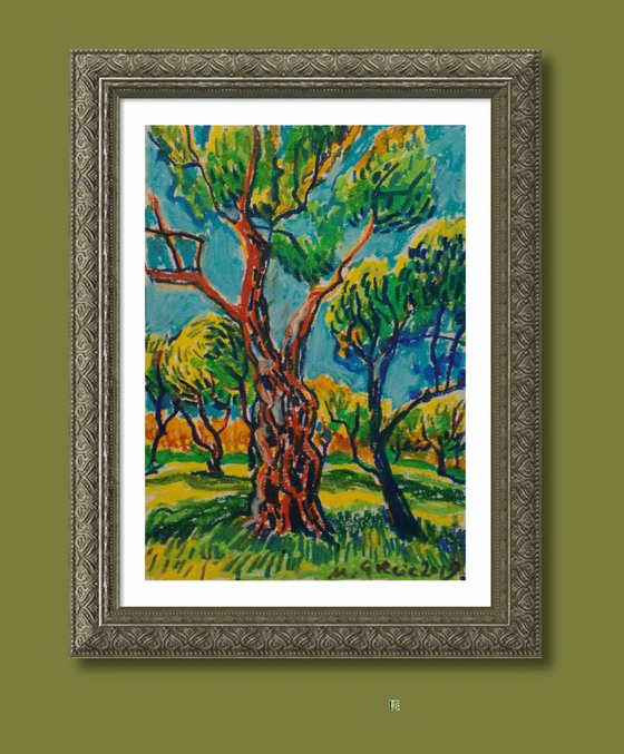 Olive grove No 15