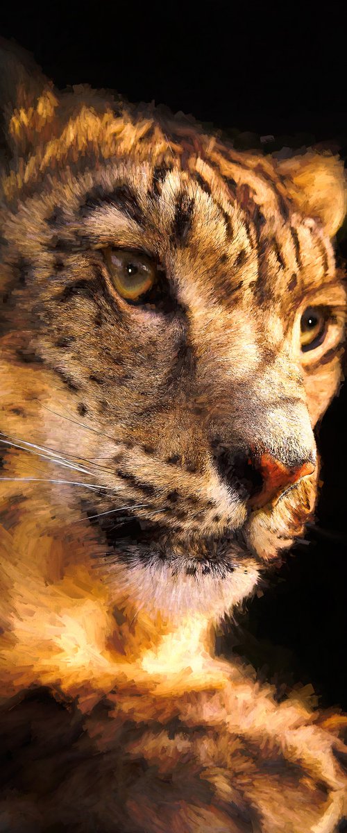 Leopard by Martin  Fry