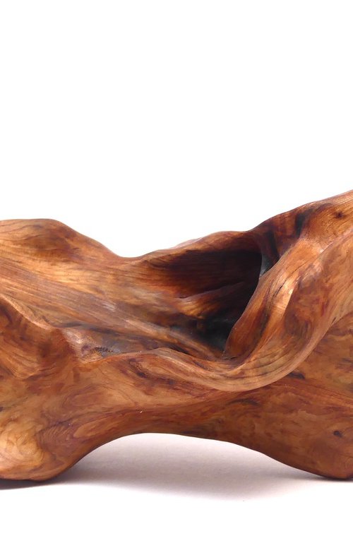 Slip (2025) by J. Lane