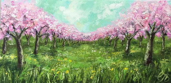 Orchard in Spring