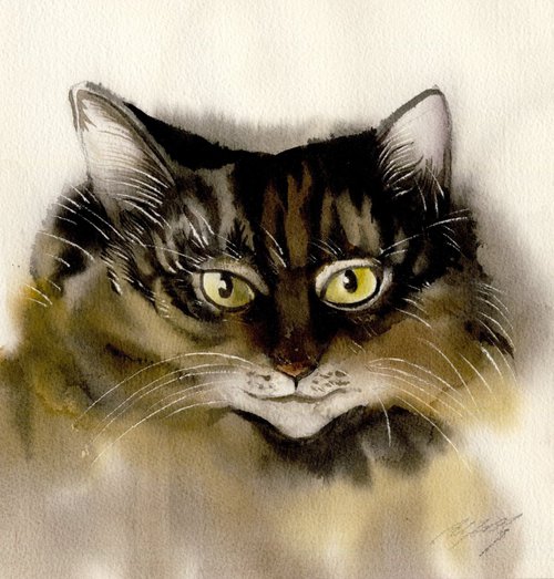 Brown Cat watercolor by Alfred  Ng