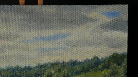 Floral Fields
