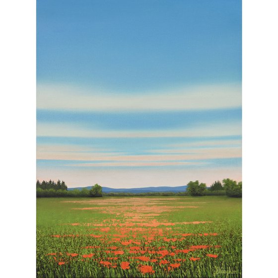 Meadow Flowers - Flower Field Landscape