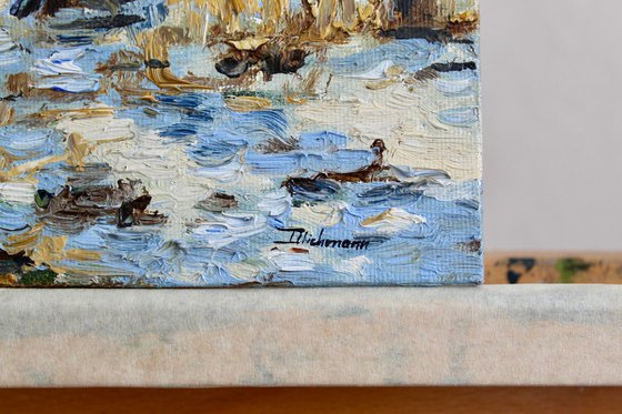 Sunlight through the Pines