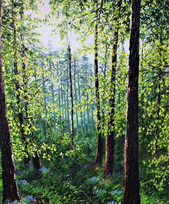 Deep Into Bluebell forest  92cm x 61cm