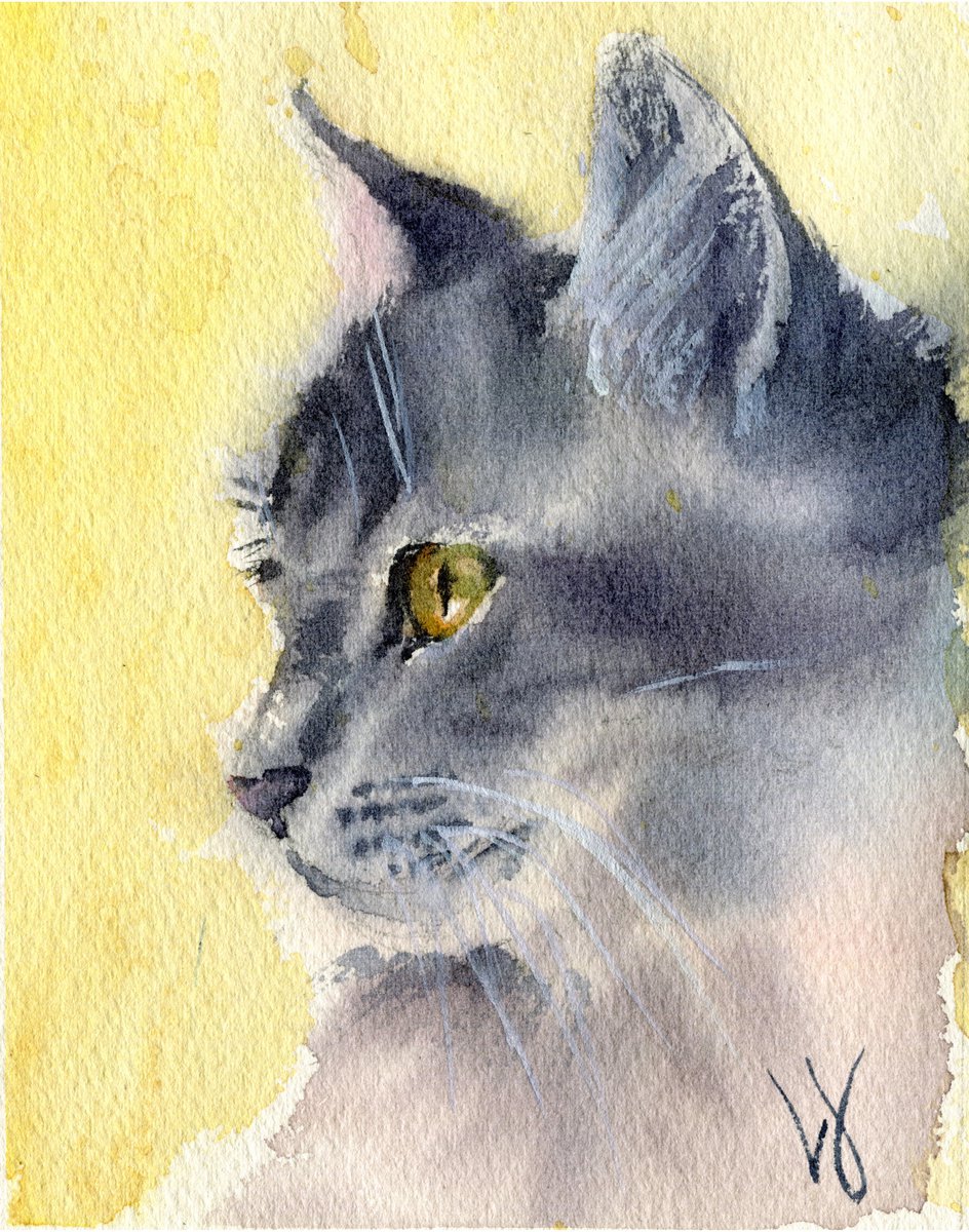 Cute gray cat face by SVITLANA LAGUTINA