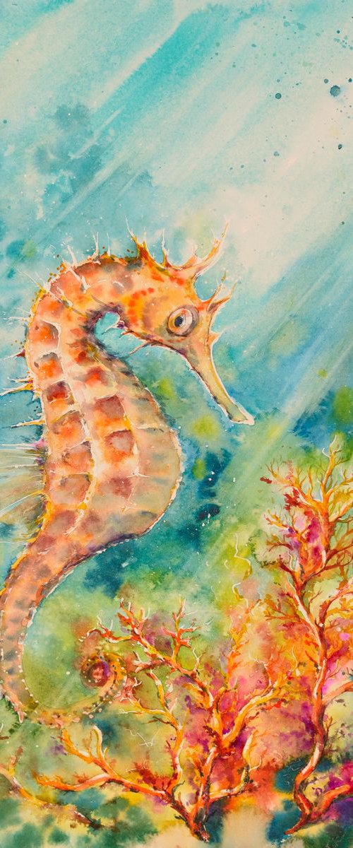 Seahorse by Eve Mazur