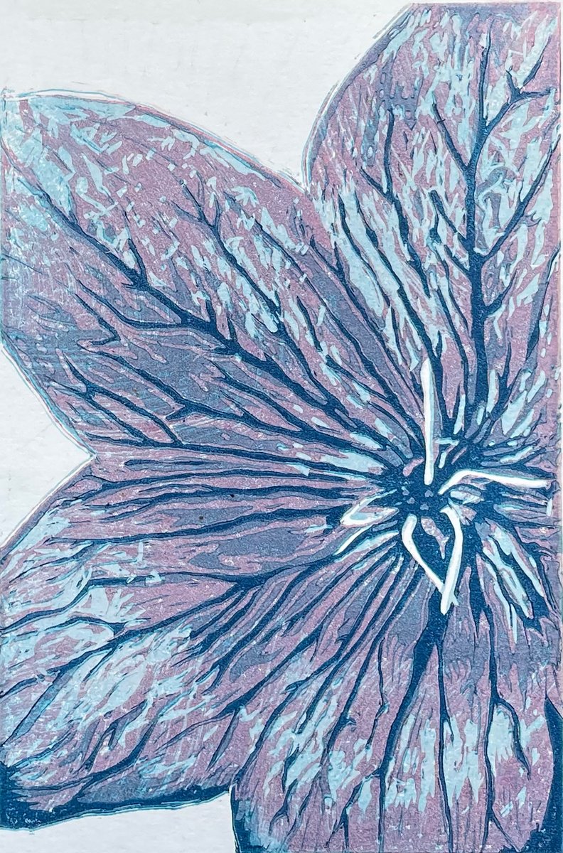 Campanula Linocut by C Staunton