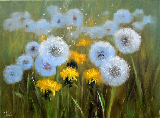 Delicate dandelions