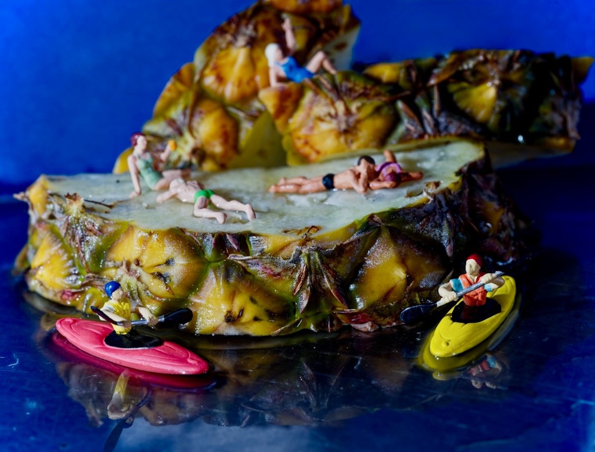 Organic Abstract Photograph By Marc Ehrenbold, 40 X 30", Pineapple Cove, Original Artwork