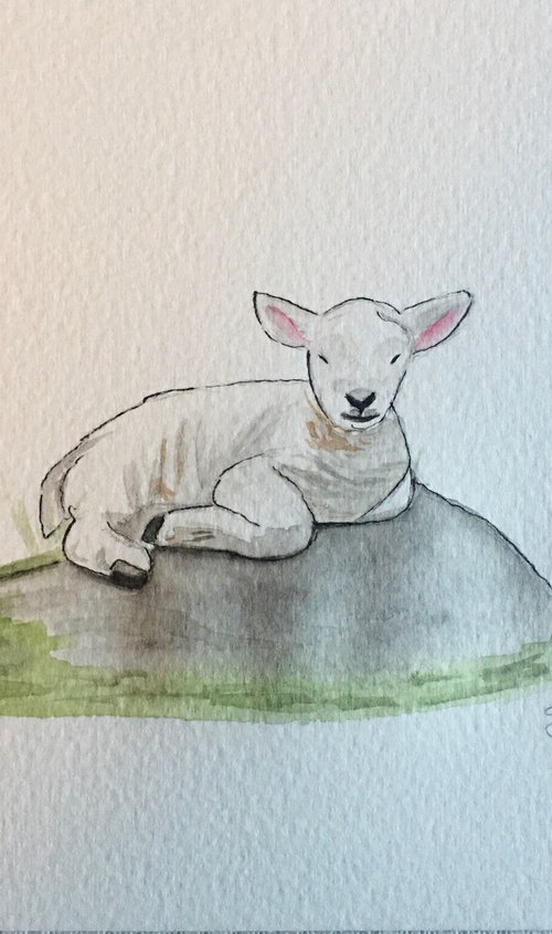 Lamb by Amelia Taylor