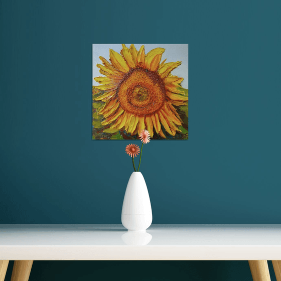 Sunlit sunflower