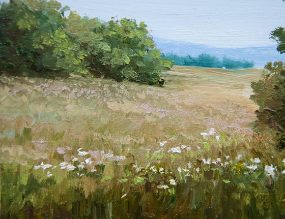 Summer day. Oil painting. 6 x 8 in.