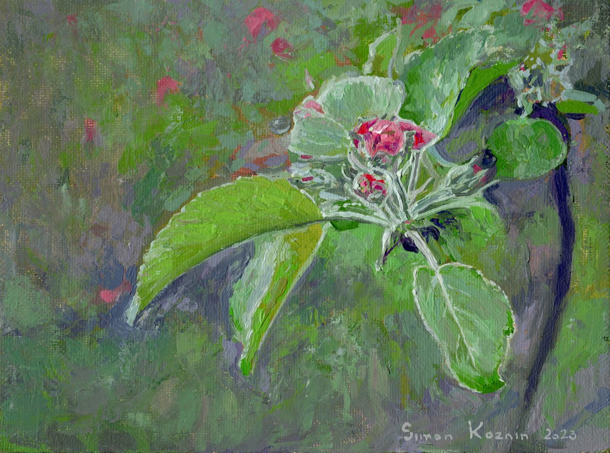 Apple tree buds in bloom by Simon Kozhin