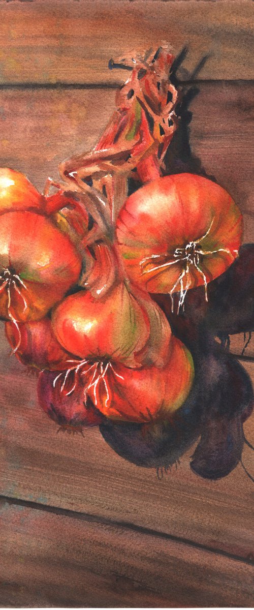 Onions Drying by Maryna Boiko