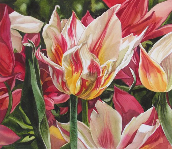 the love of tulips