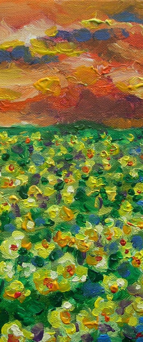 Field of daffodils by Maja Grecic