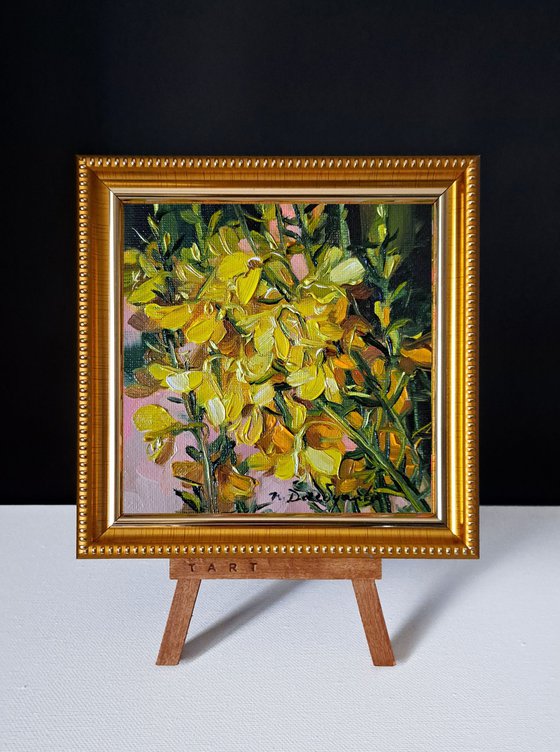 Small oil painting original yellow flower painting 5x5, Scotch broom picture frame floral artwor