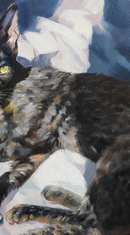 Princess cat by Nataly Derevyanko