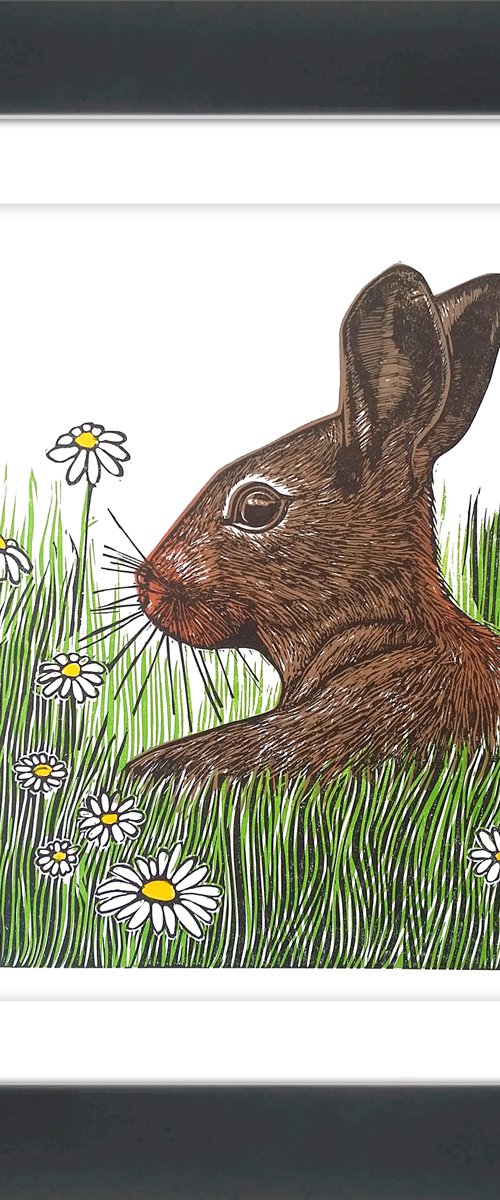 Summer daze (Rabbit in a daisy / wildflower meadow linopint) Ready to hang by Carolynne Coulson