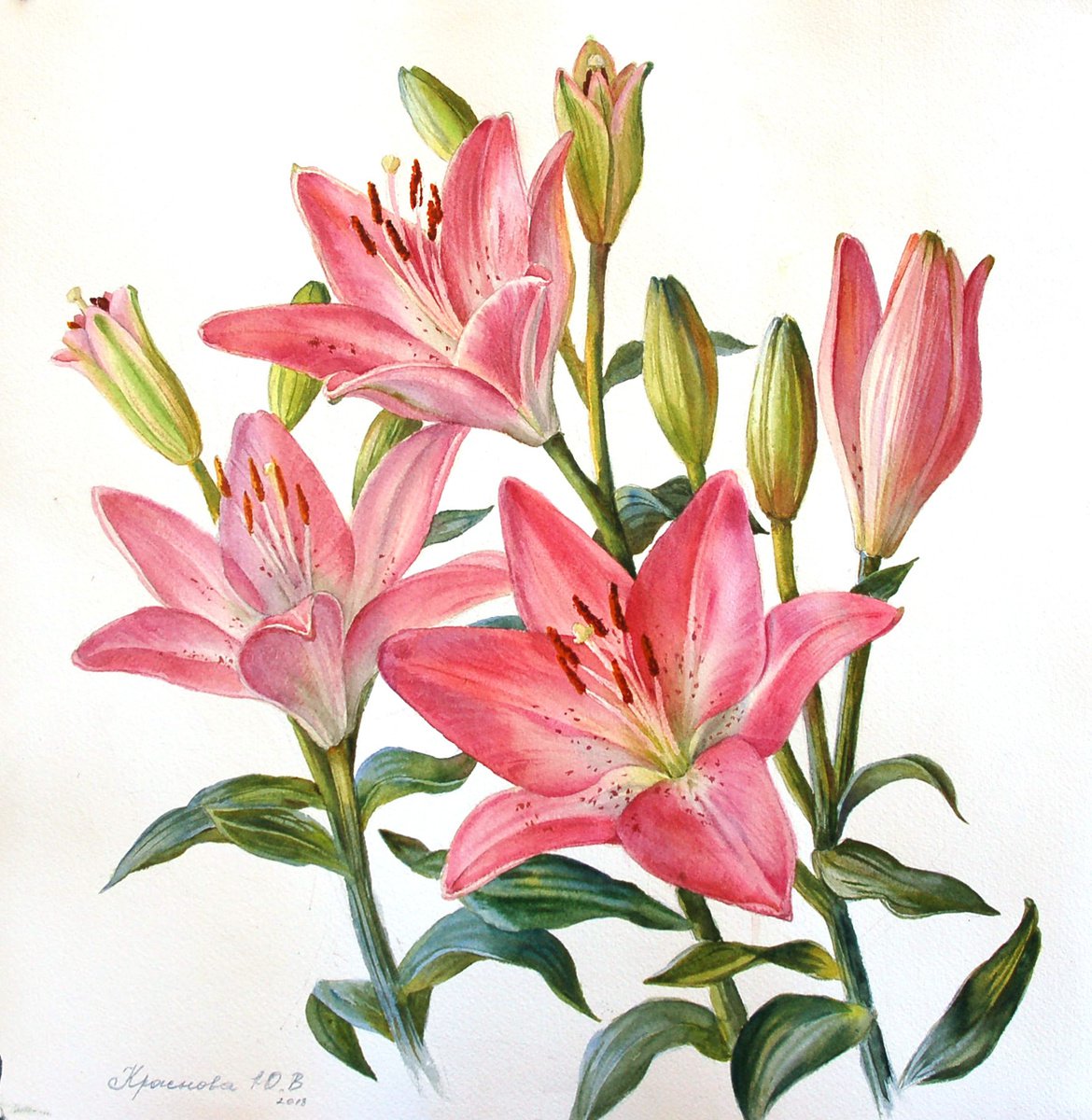 Pink lilies by Yulia Krasnov