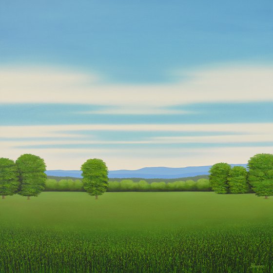Green Meadow - Blue Sky