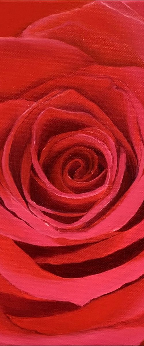 True Love. Rose by Alla Kallass