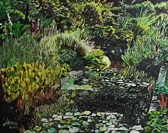 Pond and végétation
