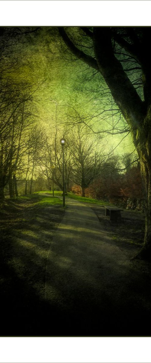Tree lined Path by Martin  Fry