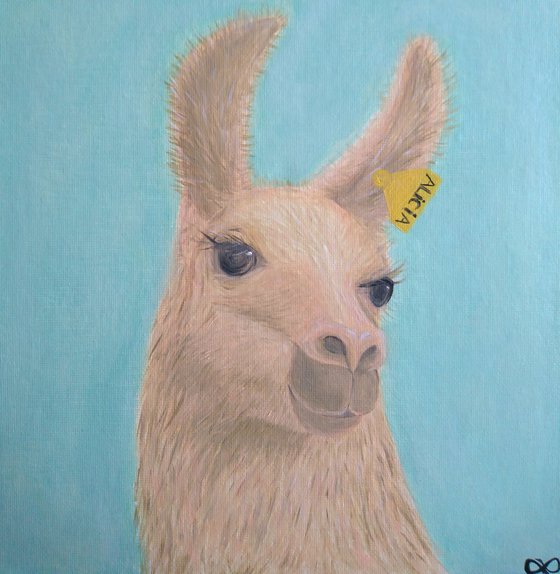 Llama Therapy