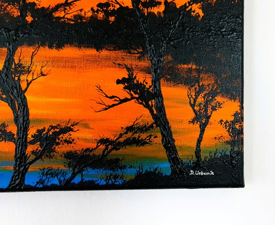 Sunset in the country 1