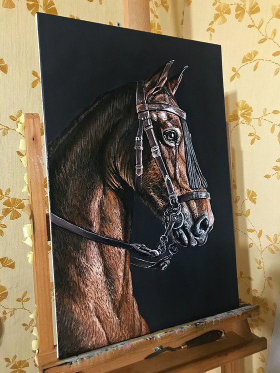 Horse