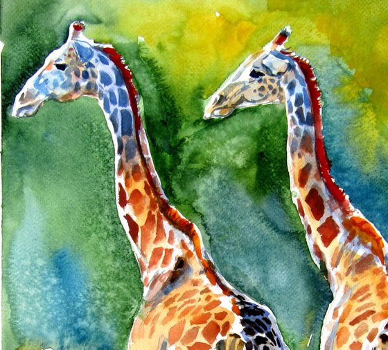 Giraffes on the field