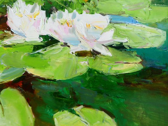 "Water Lilies  "