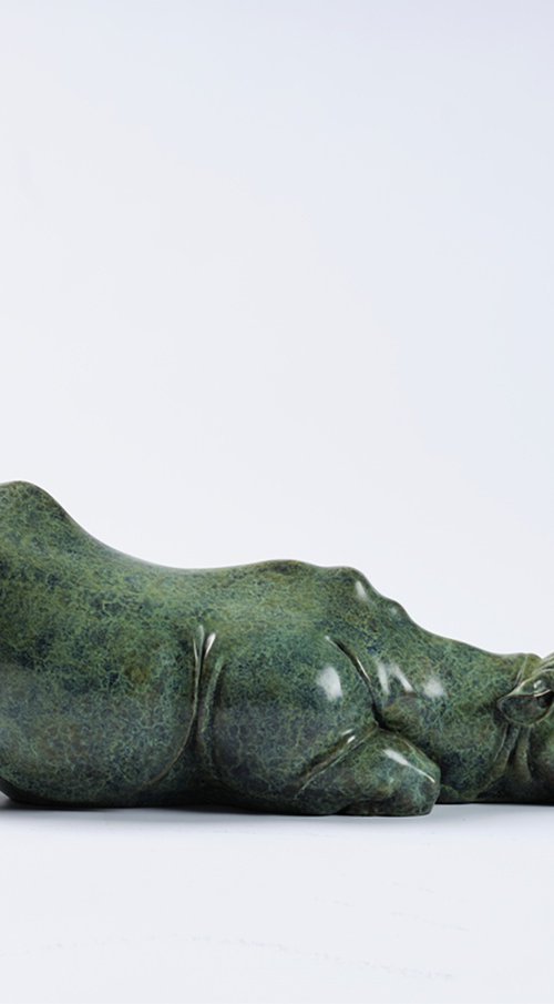 The story of the rhinoceros by Zhao Yongchang 赵永昌